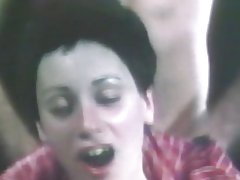 Pèl curt mare de la nina